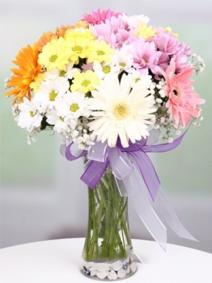 Cam Vazolu Karışık Arajman