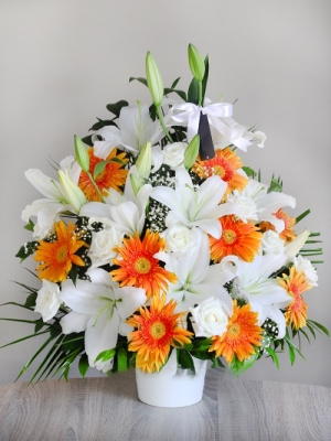 9 Kandilli Kazabilankalı ve 9 Tane Turuncu Gerbela